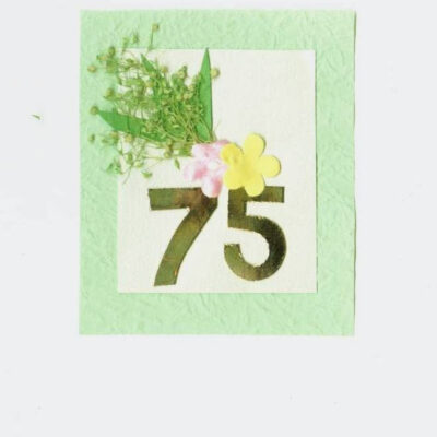 Age (60-75-General Celebrations) Assorted Pack