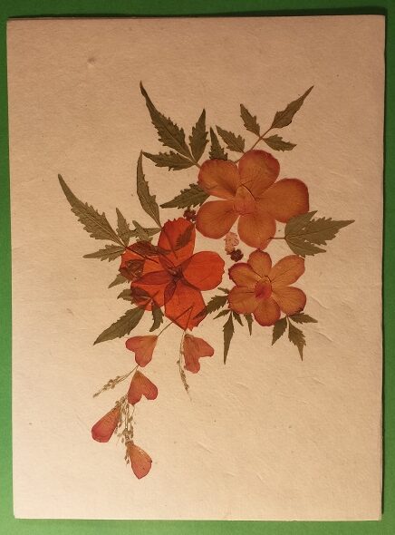 Handmade Dried Flower Card Assorted Pack - Image 2