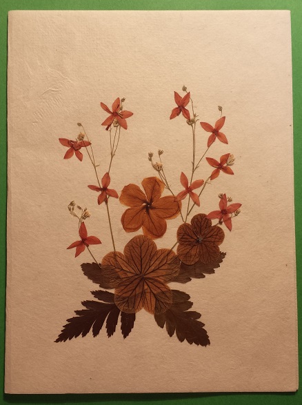 Handmade Dried Flower Card Assorted Pack - Image 5