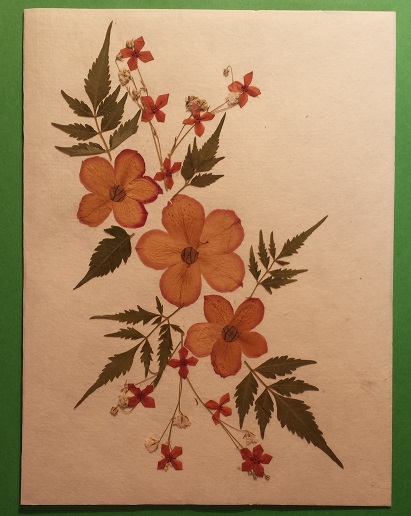 Handmade Dried Flower Card Assorted Pack - Image 7