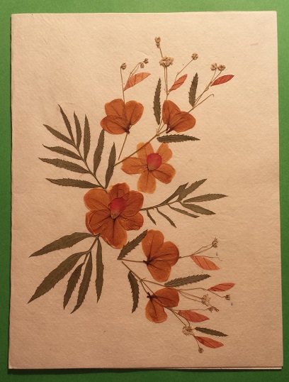 Handmade Dried Flower Card Assorted Pack - Image 11