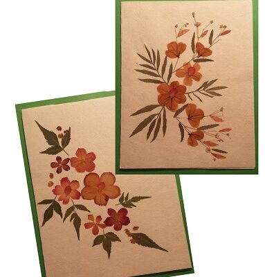 Handmade Dried Flower Card Assorted Pack