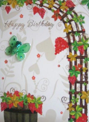 Pappilon Cards - Image 11