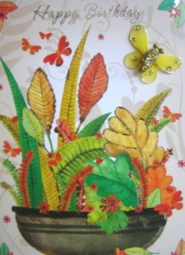 Pappilon Cards - Image 9