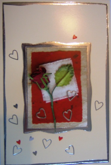 Roses - Image 11