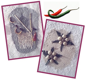 Herb & Spice Card Assorted pack